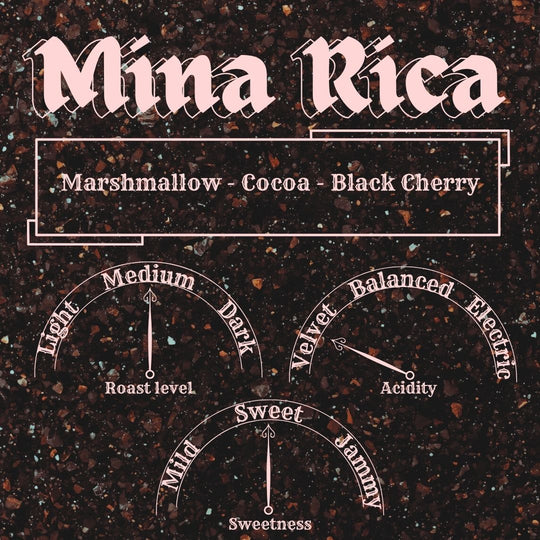 Mina Rica
