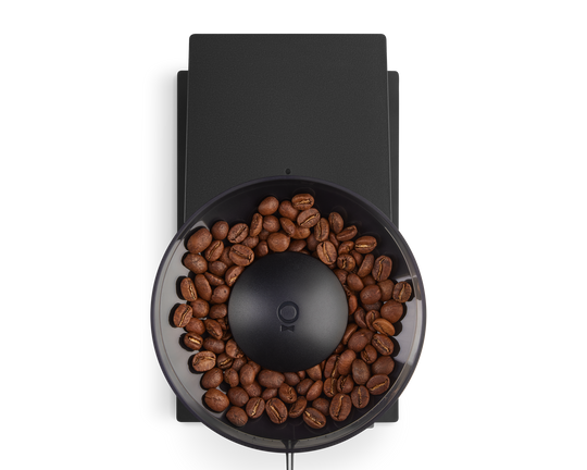 Fellow Opus Conical Burr Grinder